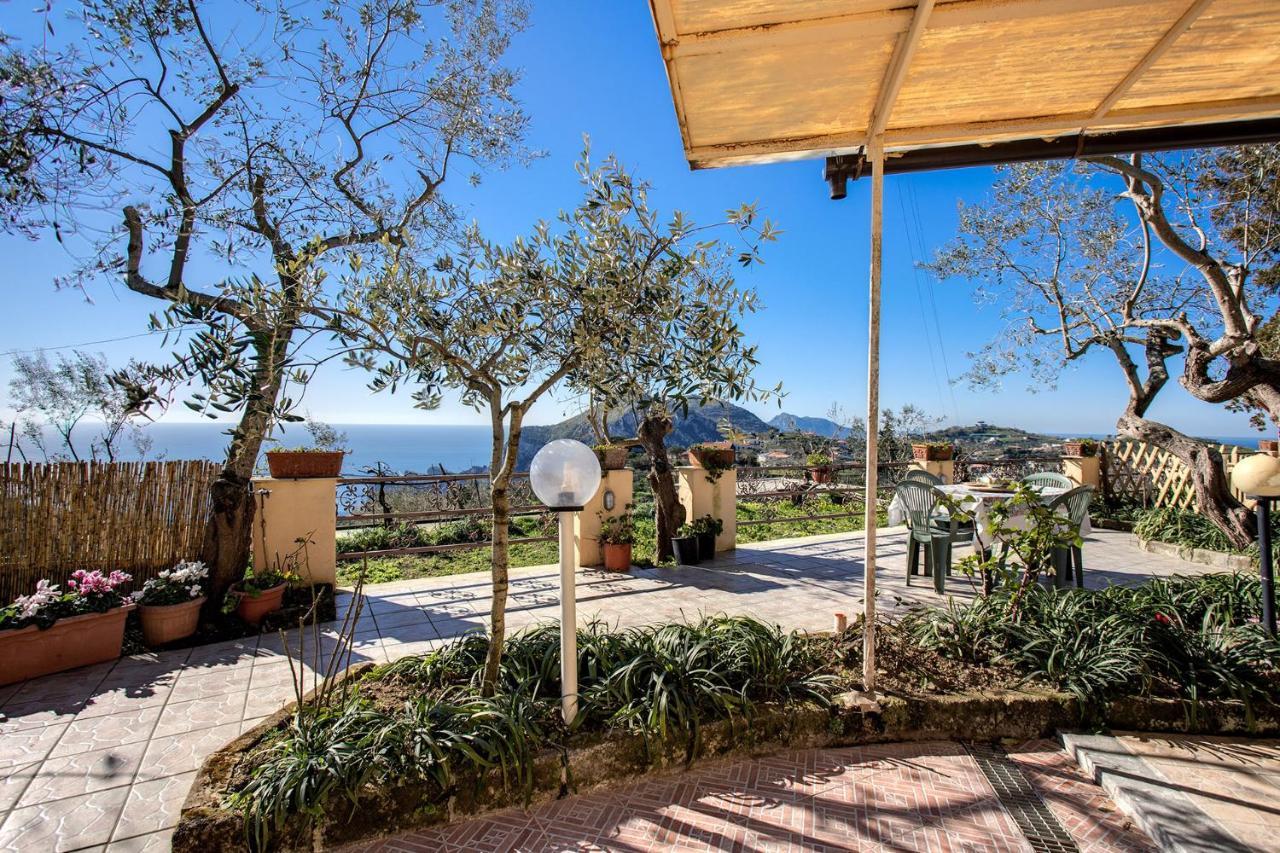 Il Pioppo - Country House Sea View Massa Lubrense Exterior foto